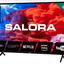 Salora 24HA220 Android smart TV