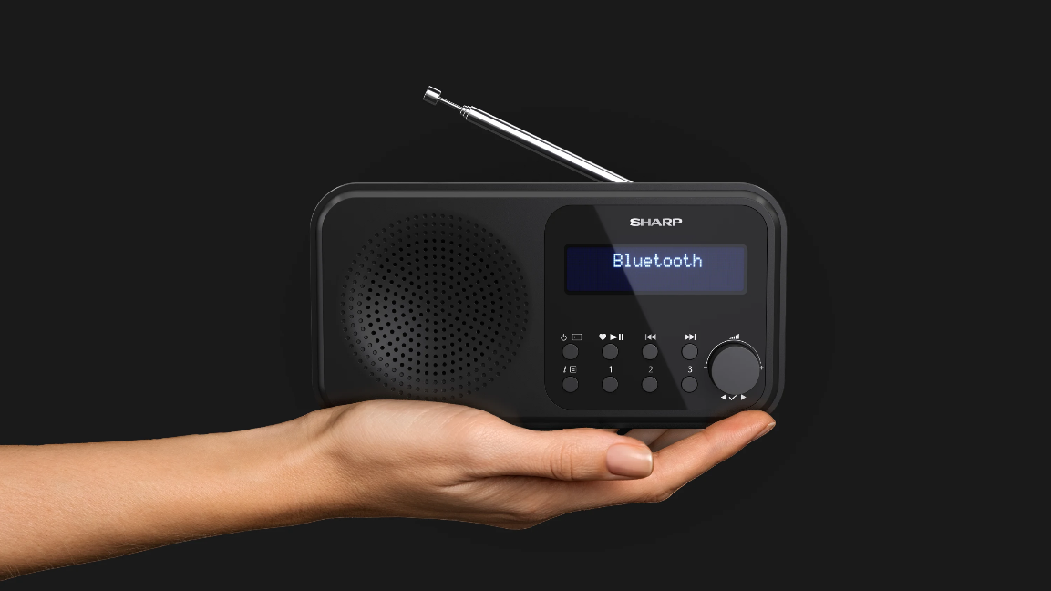 Sharp DR-P420BK ZWART radio met klok