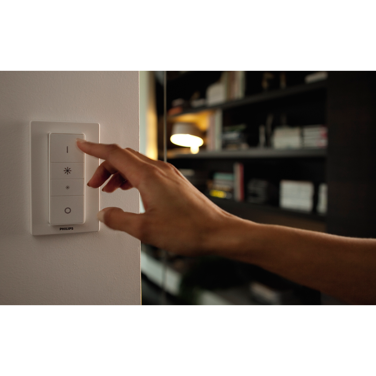 Philips RUNNER HUE Single Spot